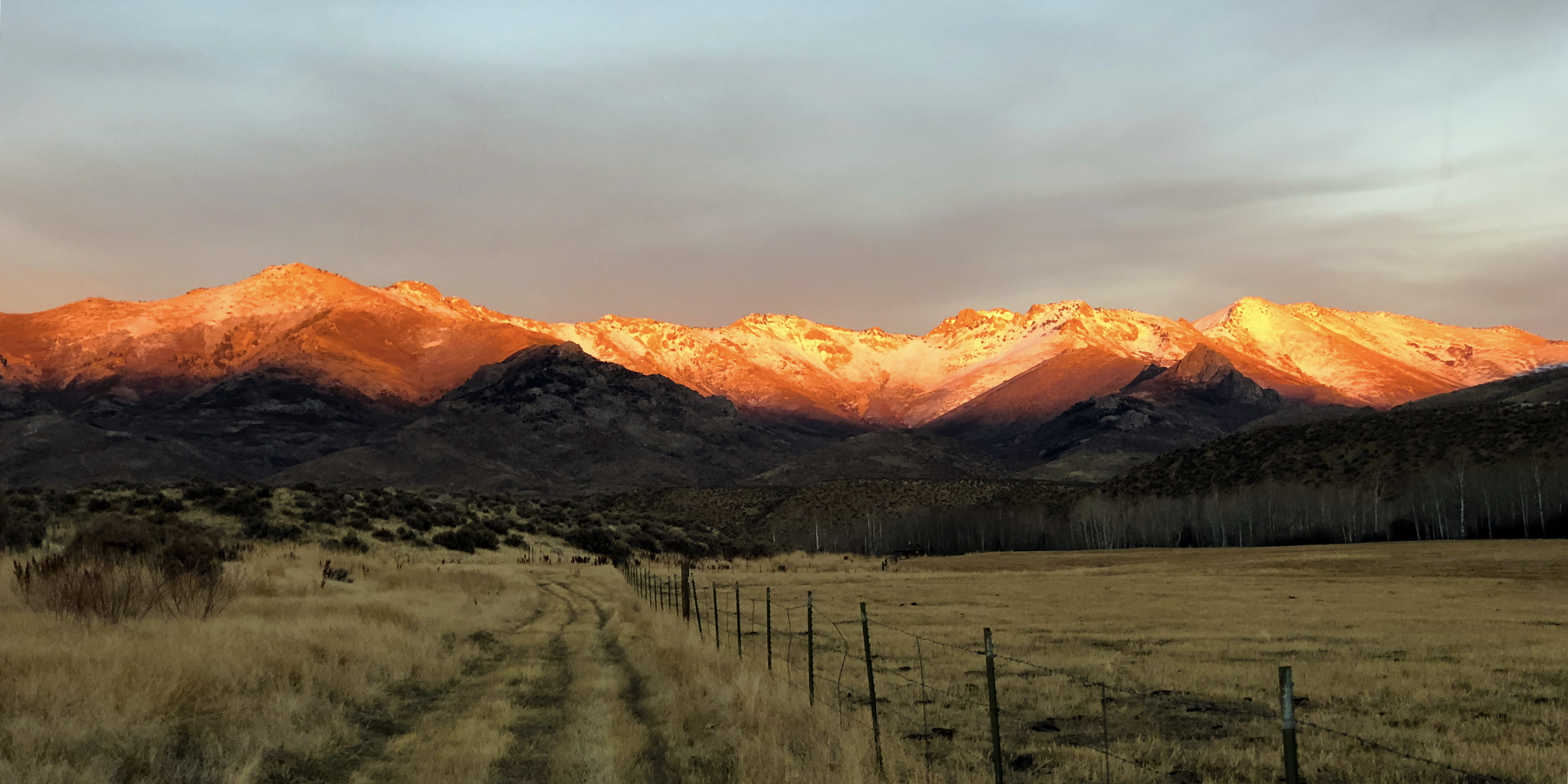 Golden evening light on the Nevada mountains and ranch pastures